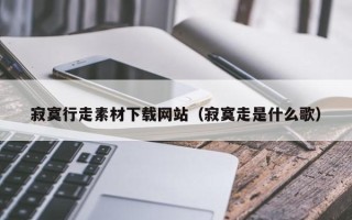 枣阳寂寞行走素材下载网站（寂寞走是什么歌）