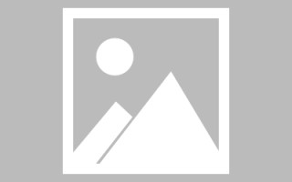 枣阳巨量图标素材网站（巨量创意logo）